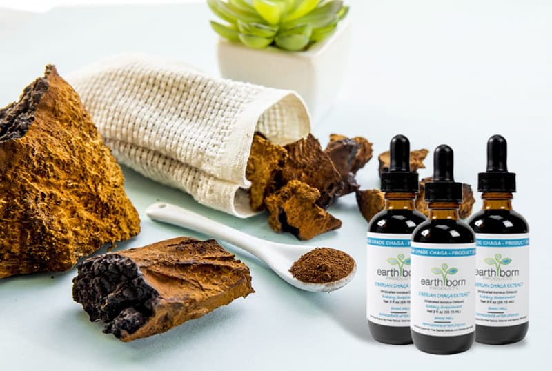Why use Siberian Chaga Extract product photo