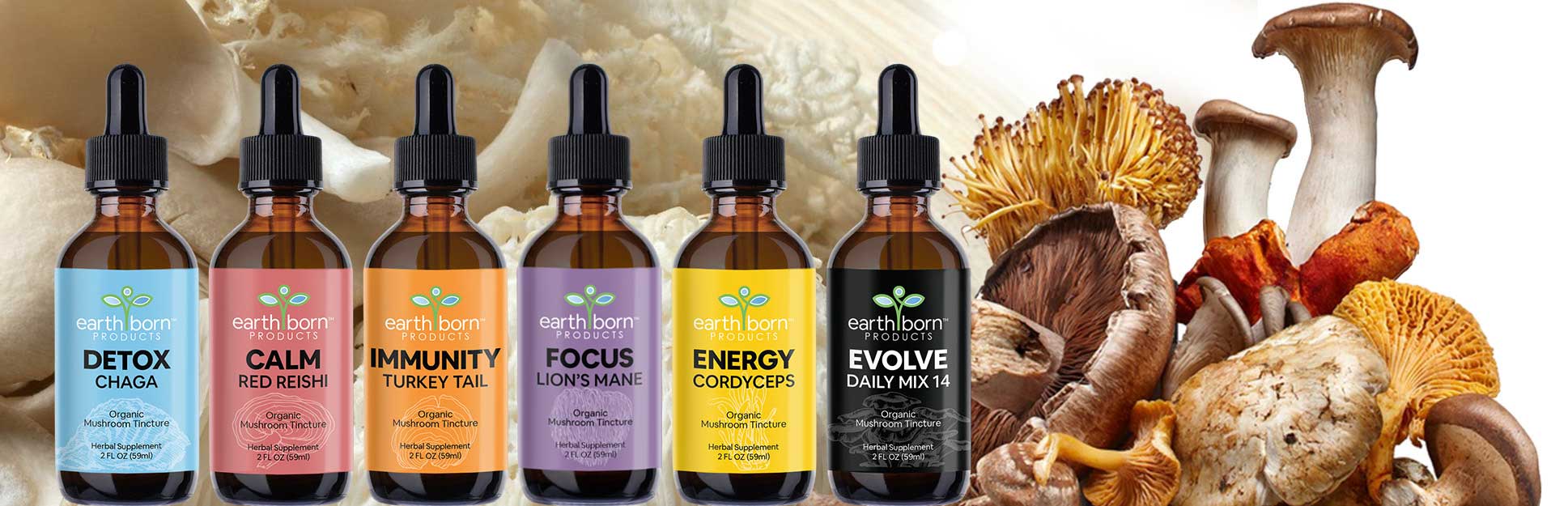 Earthborn mushroom tincture bottles with assorted mushrooms slider