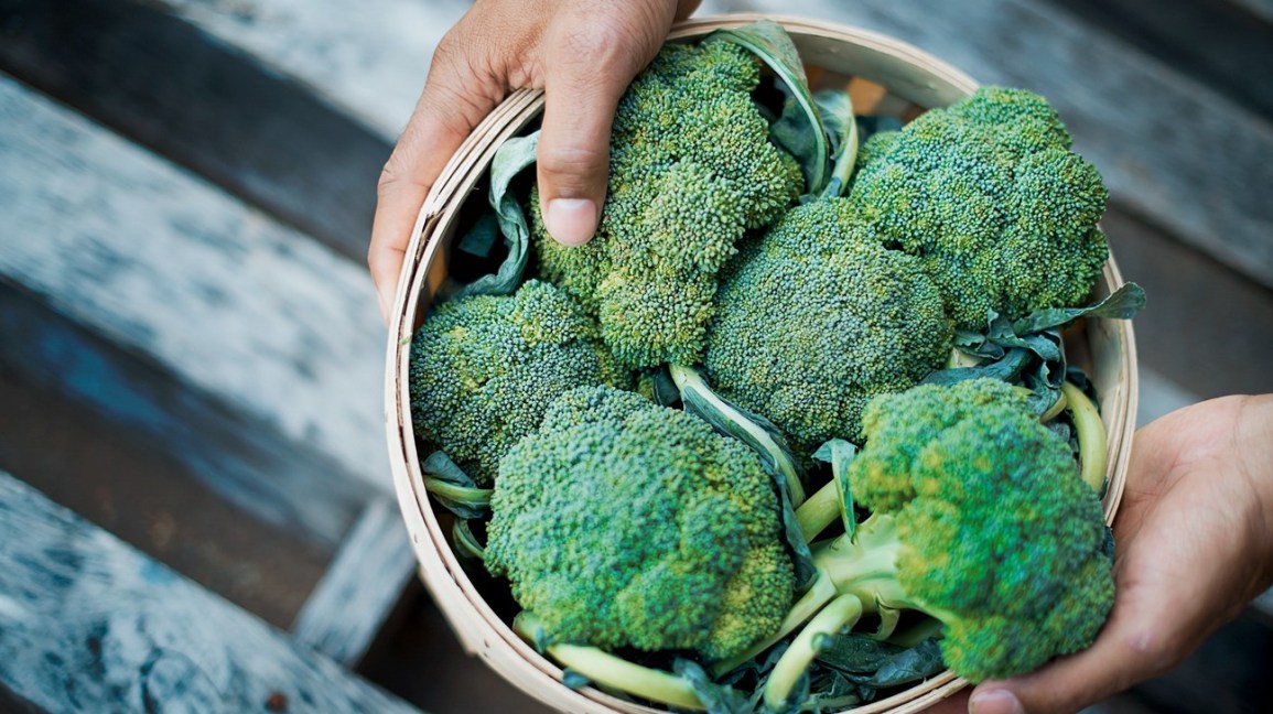 Boost the Immune Defense with these 15 Foods