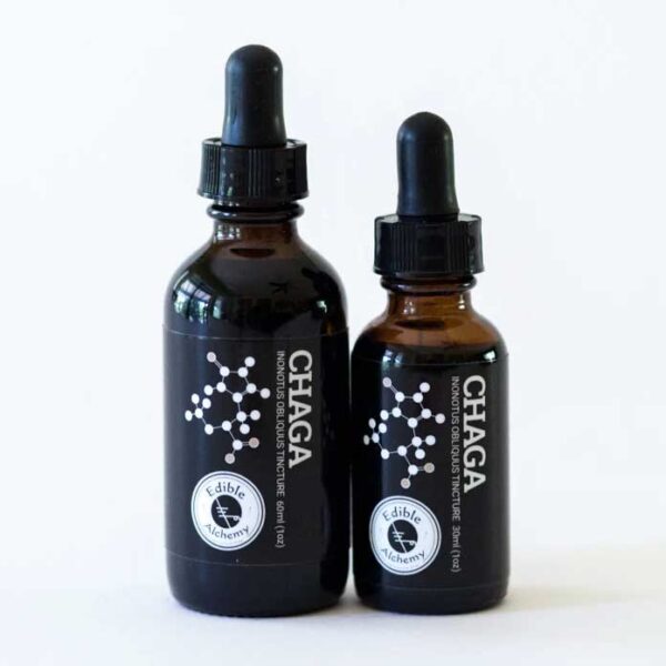 organic chaga extracted mushroom tincture 60 ml edible alchemy