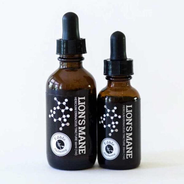 organic lions mane extracted mushroom tincture 60 ml edible alchemy